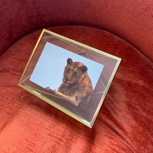Brass Picture Frame